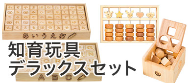 知育デラックスセット