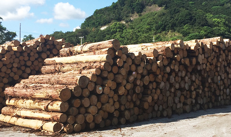 高知県産の良質なヒノキ
